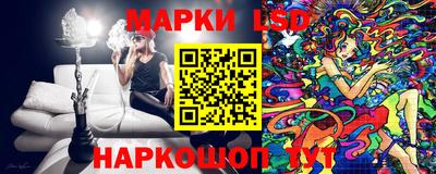 гашик Сланцы