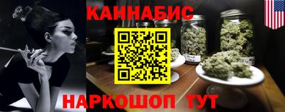 гашик Сланцы