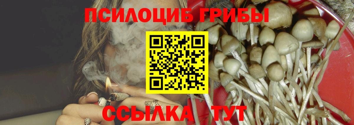 Галлюциногенные грибы Cubensis  купить закладку  Галлюциногенные грибы ЛСД  Отрадное  Вход с VPN 