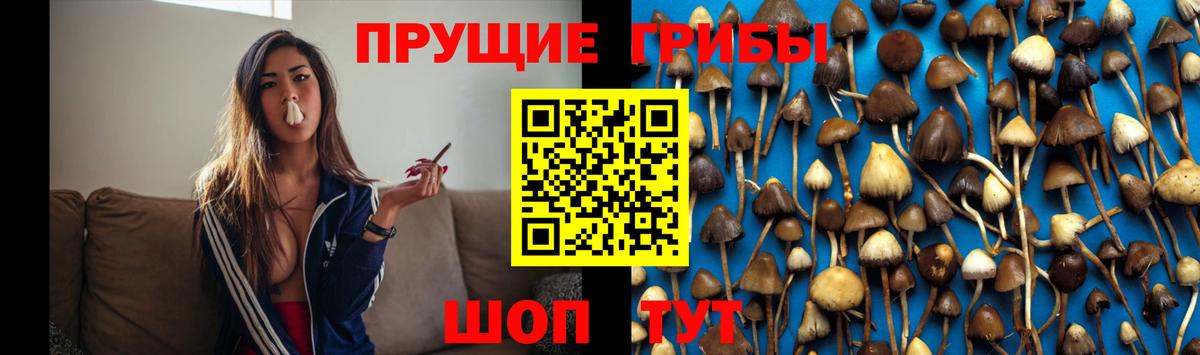 Галлюциногенные грибы Cubensis Отрадное